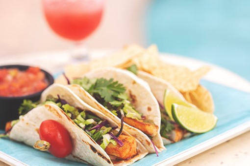 Things To Do Loggerhead Grill